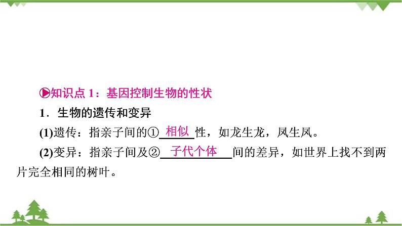 2021年生物中考人教版复习课件：第7单元 第2章 生物的遗传与变异02