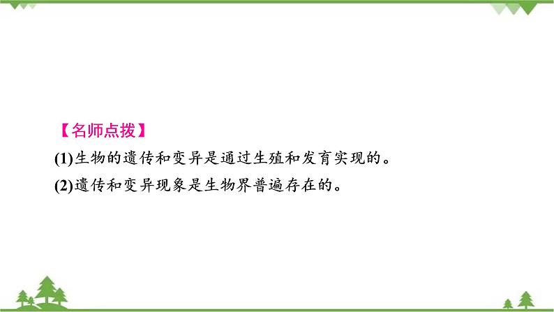 2021年生物中考人教版复习课件：第7单元 第2章 生物的遗传与变异03