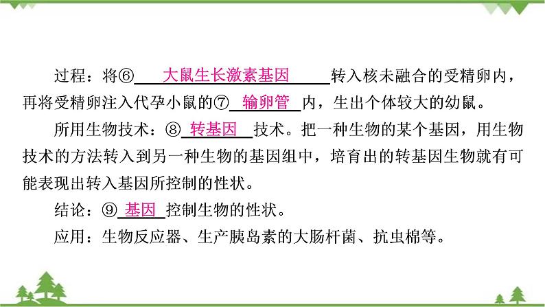 2021年生物中考人教版复习课件：第7单元 第2章 生物的遗传与变异07