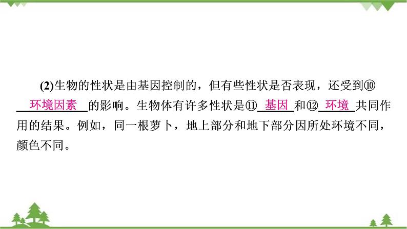 2021年生物中考人教版复习课件：第7单元 第2章 生物的遗传与变异08