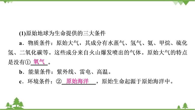 2021年生物中考人教版复习课件：第7单元 第3章 生命起源和生物进化03