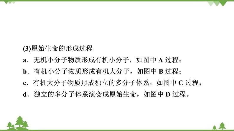 2021年生物中考人教版复习课件：第7单元 第3章 生命起源和生物进化05