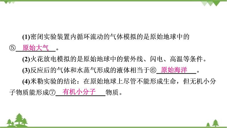 2021年生物中考人教版复习课件：第7单元 第3章 生命起源和生物进化07