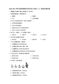 2020-2021学年甘肃省酒泉市瓜州县八年级（上）期末生物试卷    解析版