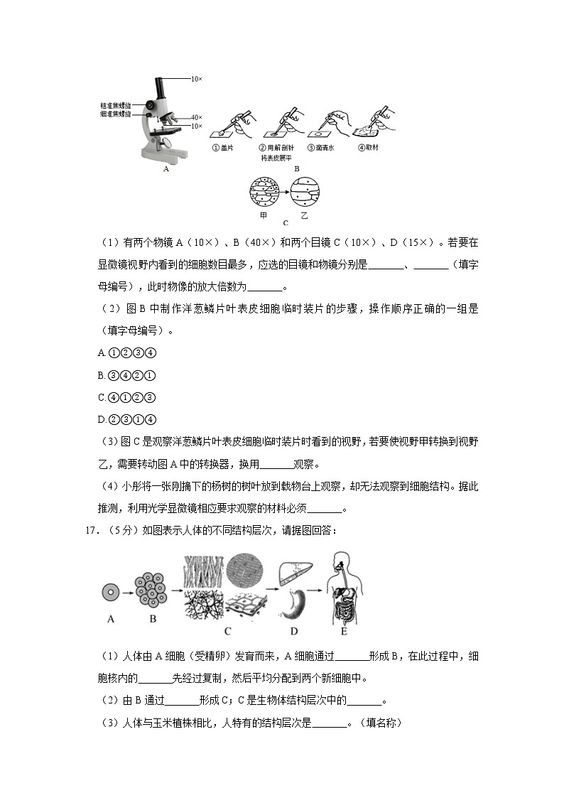 2020-2021学年甘肃省酒泉市玉门市七年级（上）期末生物试卷    解析版03