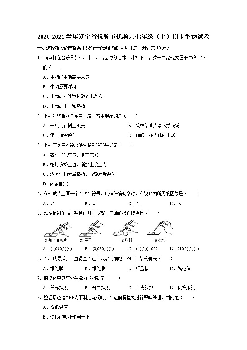 2020-2021学年辽宁省抚顺市抚顺县七年级（上）期末生物试卷    解析版01