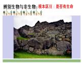 人教版初中生物七上第一单元第一章第1节 生物的特征 课件