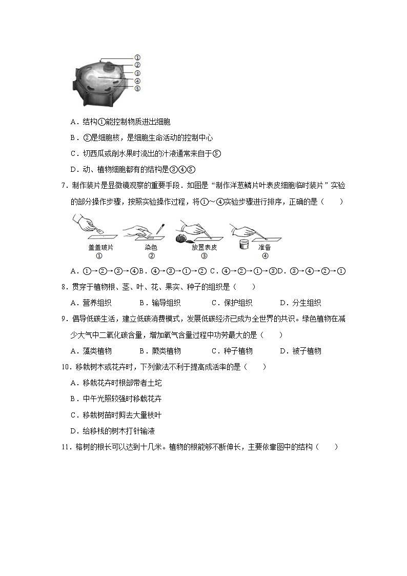 2020-2021学年河北省唐山市滦南县七年级（上）期末生物试卷    解析版02