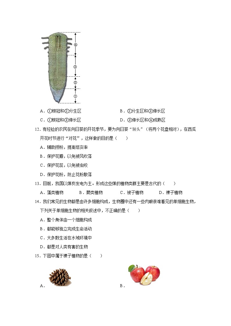 2020-2021学年河北省唐山市滦南县七年级（上）期末生物试卷    解析版03