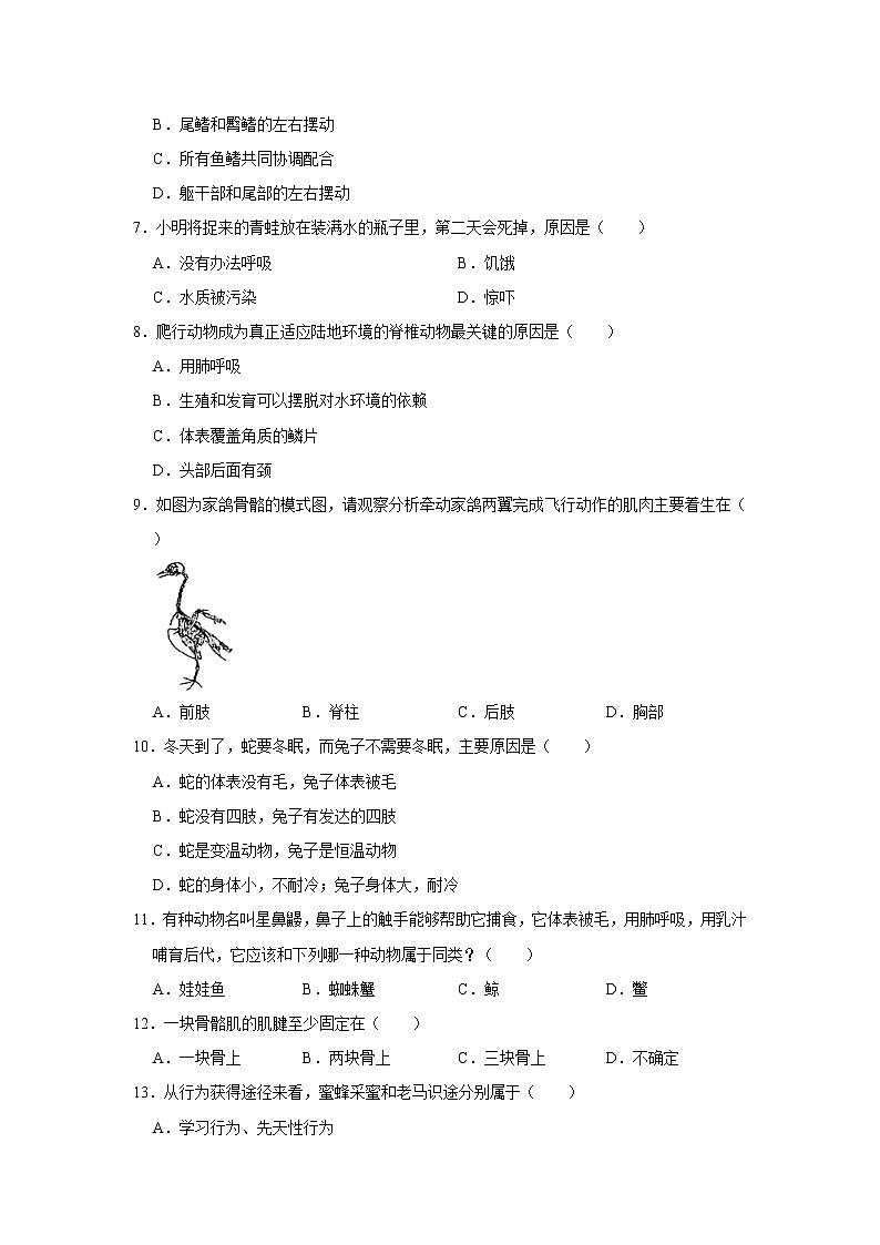 2020-2021学年天津市河西区八年级（上）期末生物试卷   解析版02