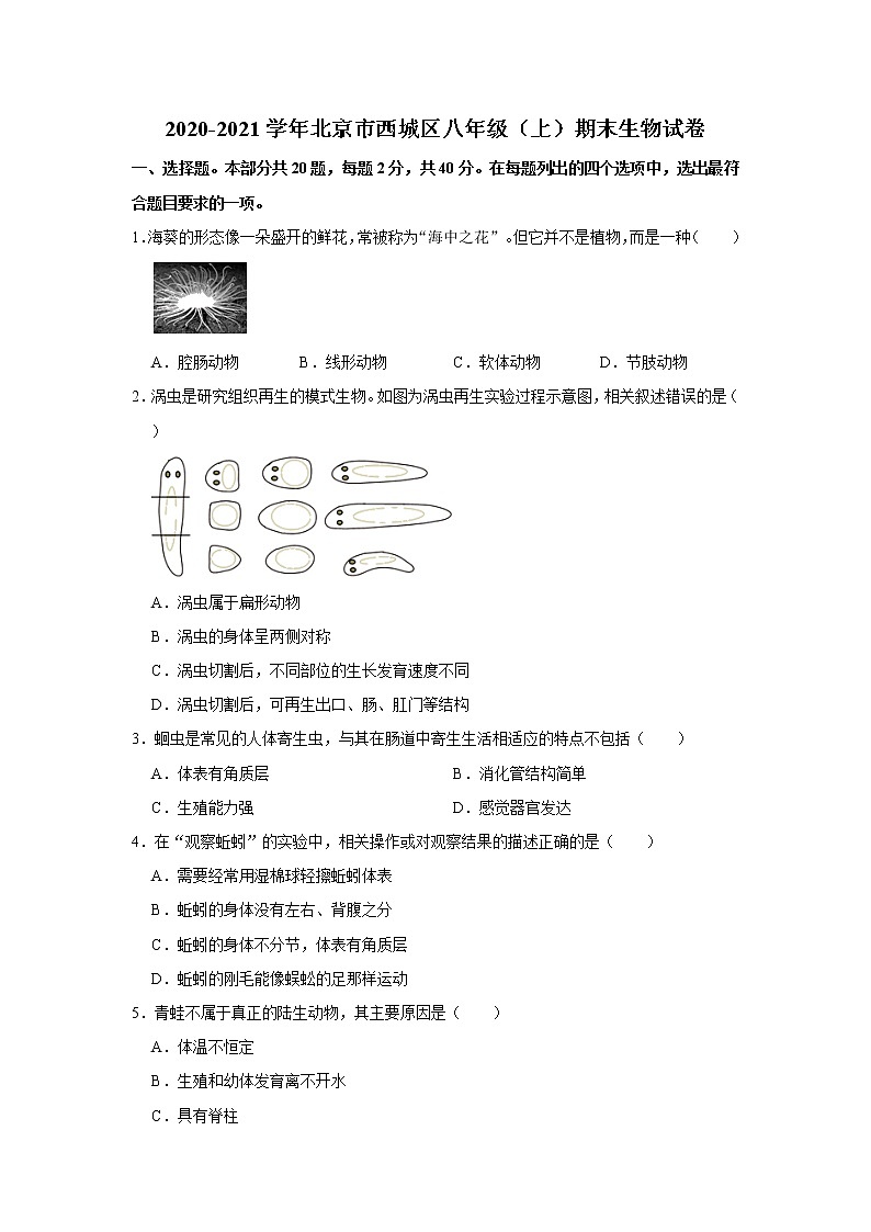 2020-2021学年北京市西城区八年级（上）期末生物试卷     解析版01