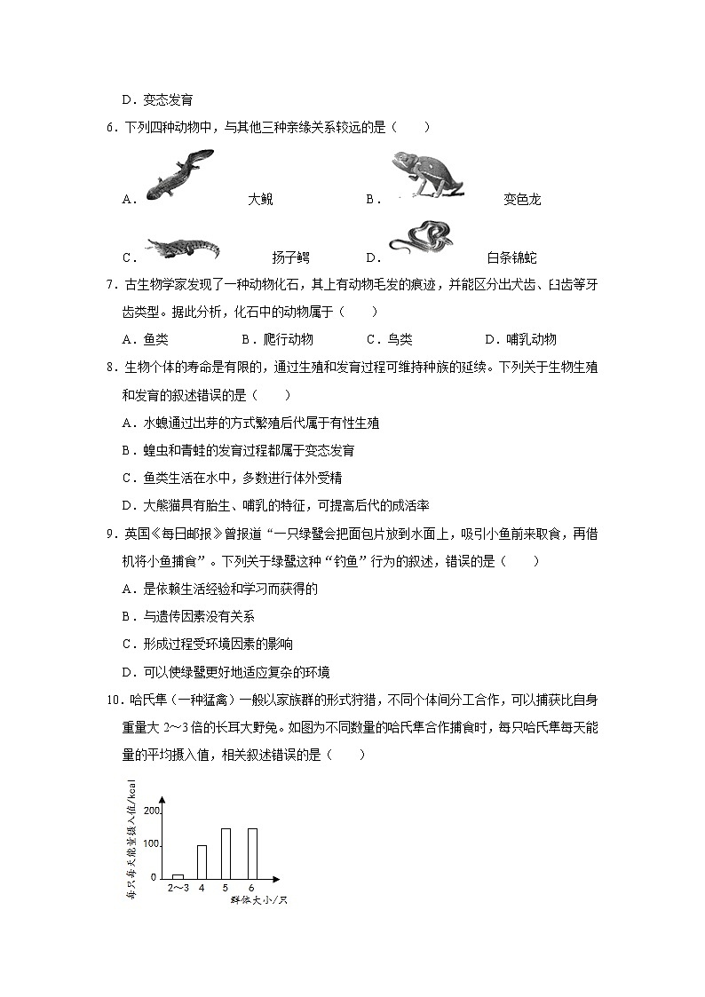 2020-2021学年北京市西城区八年级（上）期末生物试卷     解析版02