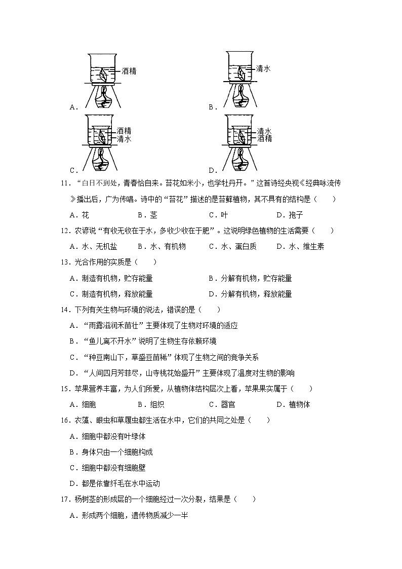 2020-2021学年辽宁省葫芦岛市绥中县七年级（上）期末生物试卷    解析版03