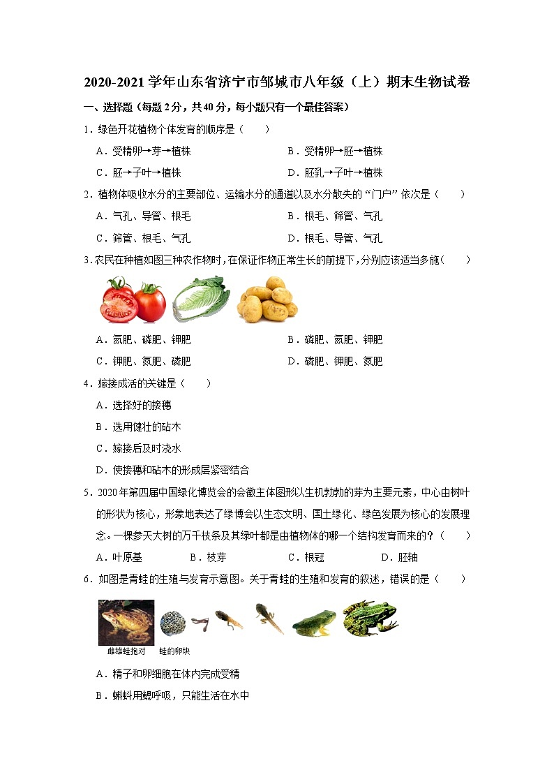 2020-2021学年山东省济宁市邹城市八年级（上）期末生物试卷   解析版01
