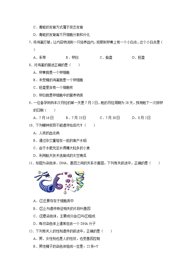 2020-2021学年山东省济宁市邹城市八年级（上）期末生物试卷   解析版02