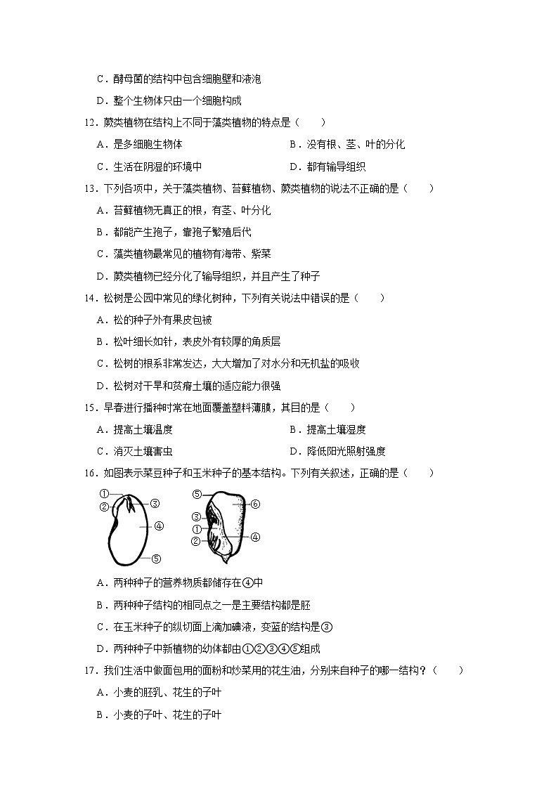 2020-2021学年河北省邯郸市永年区七年级（上）期末生物试卷   解析版03