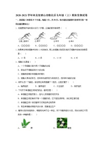 2020-2021学年河北省唐山市路北区七年级（上）期末生物试卷   解析版