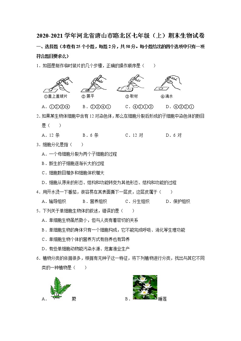 2020-2021学年河北省唐山市路北区七年级（上）期末生物试卷   解析版01