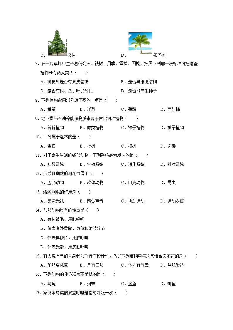 2020-2021学年河北省唐山市路北区七年级（上）期末生物试卷   解析版02
