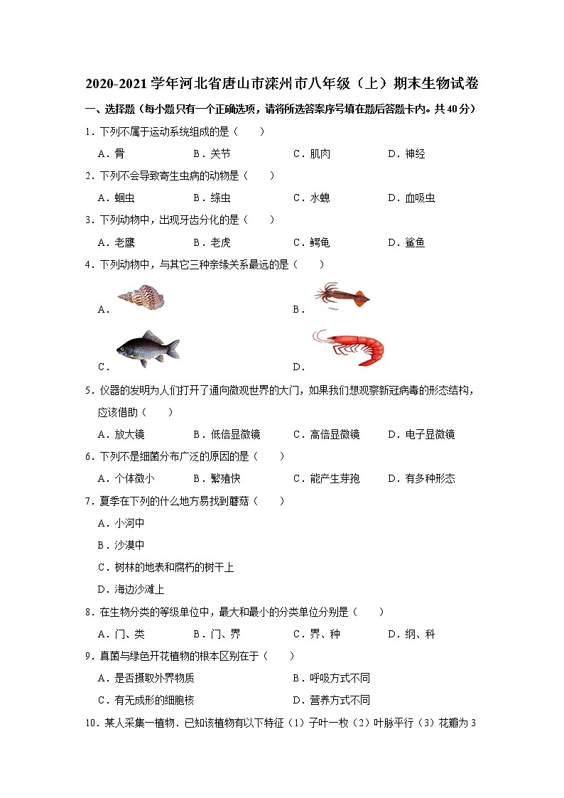 2020-2021学年河北省唐山市滦州市八年级（上）期末生物试卷   解析版01