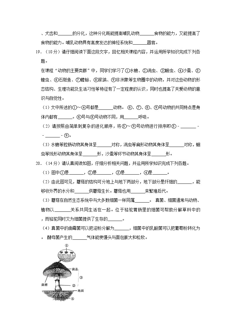 2020-2021学年青海省西宁市八年级（上）期末生物试卷   解析版03