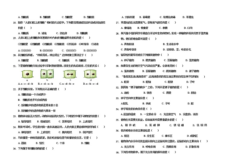 2021-2022学年人教版生物七年级上册期末末试题（word版含答案）02