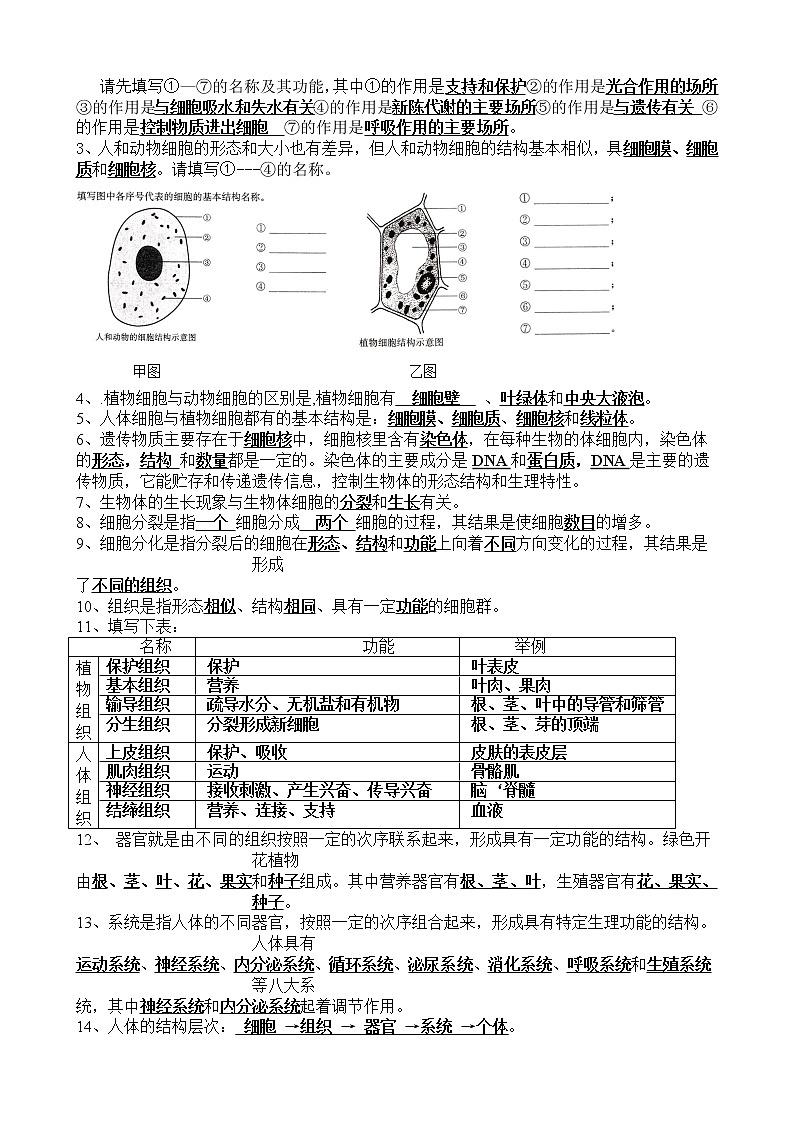 苏教版七年级生物上册知识点汇总02