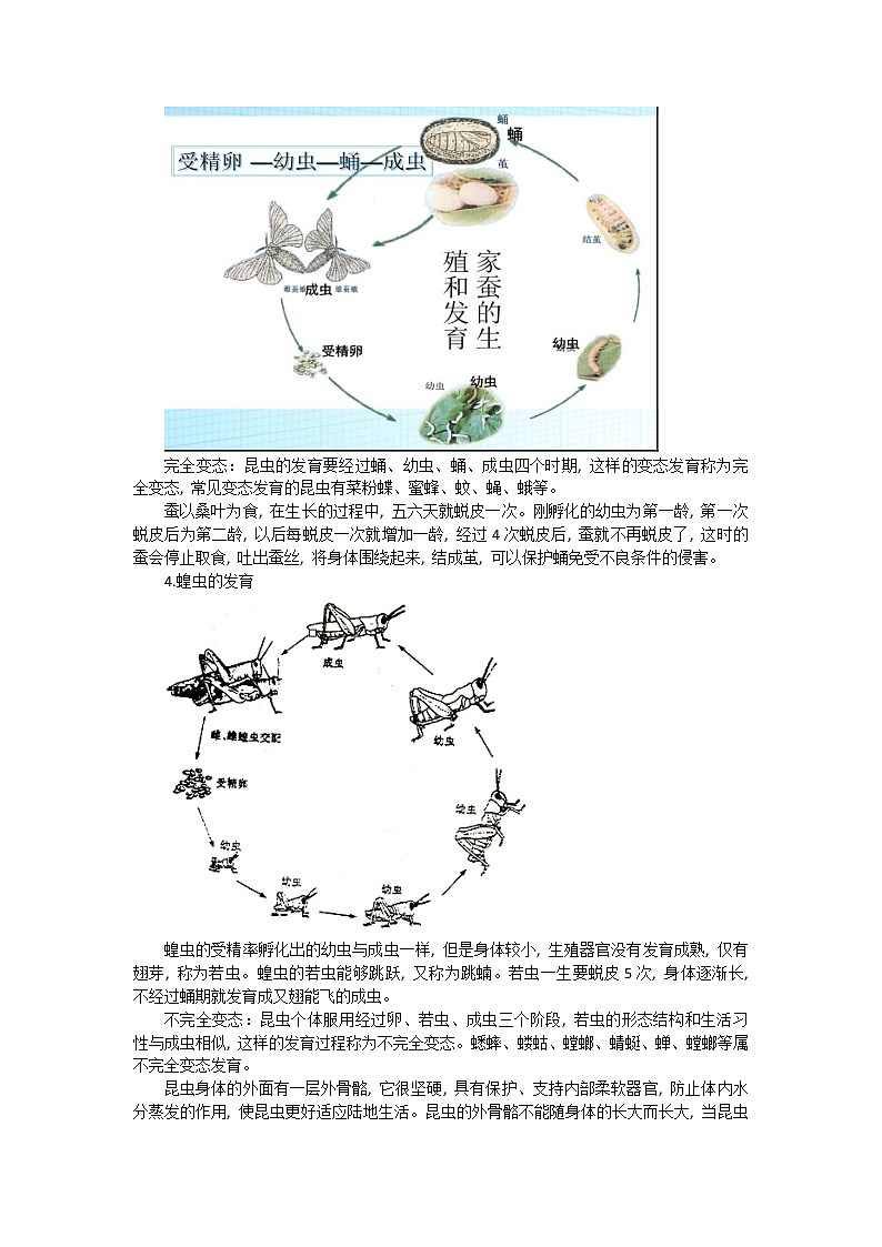 （人教版）中考生物总复习（整套）知识点全汇总03