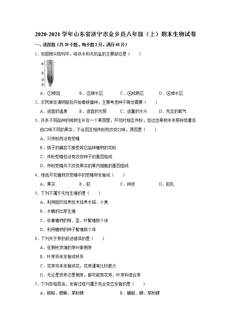 2020-2021学年山东省济宁市金乡县八年级（上）期末生物试卷    解析版01