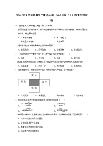 2020-2021学年新疆生产建设兵团一师八年级（上）期末生物试卷     解析版