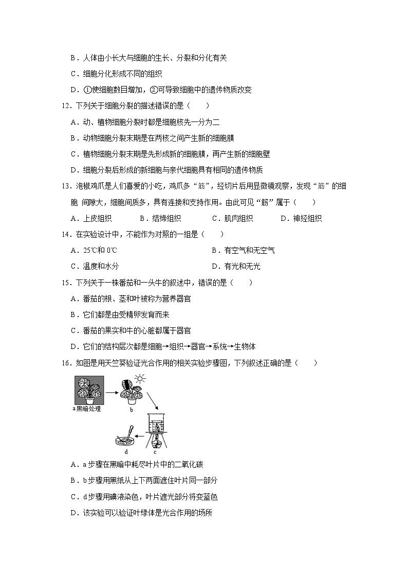 2020-2021学年广东省惠州市惠城区人教版生物七年级上学期期末试卷解析版03