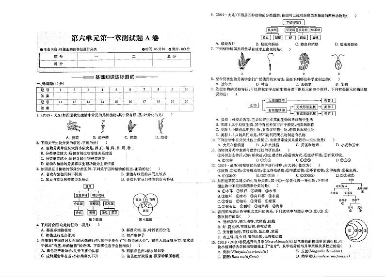 八年级生物上册第六单元生物的多样性及其保护第一章根据生物的特征进行分类测试题pdfA卷无答案新版新人教版01