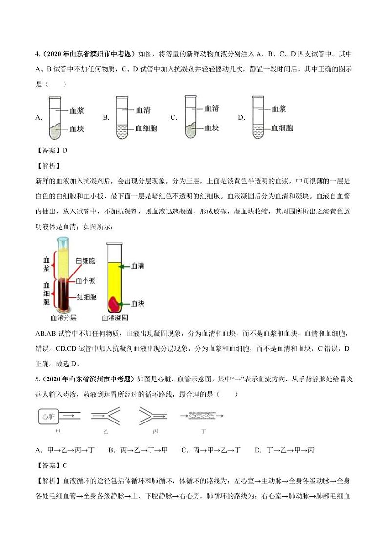 2020_2021学年中考生物真题汇编人体内物质运输和废物排出pdf02