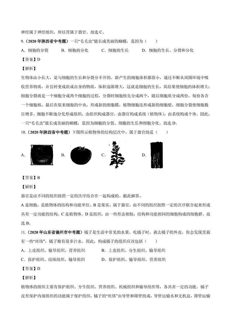 2020_2021学年中考生物真题汇编生物体的结构层次pdf03