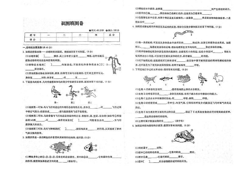 八年级生物上册识图填图卷pdf无答案新版新人教版01