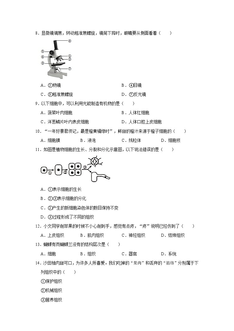 2020-2021学年广东省深圳市龙岗区七年级（上）期末生物试卷    解析版02