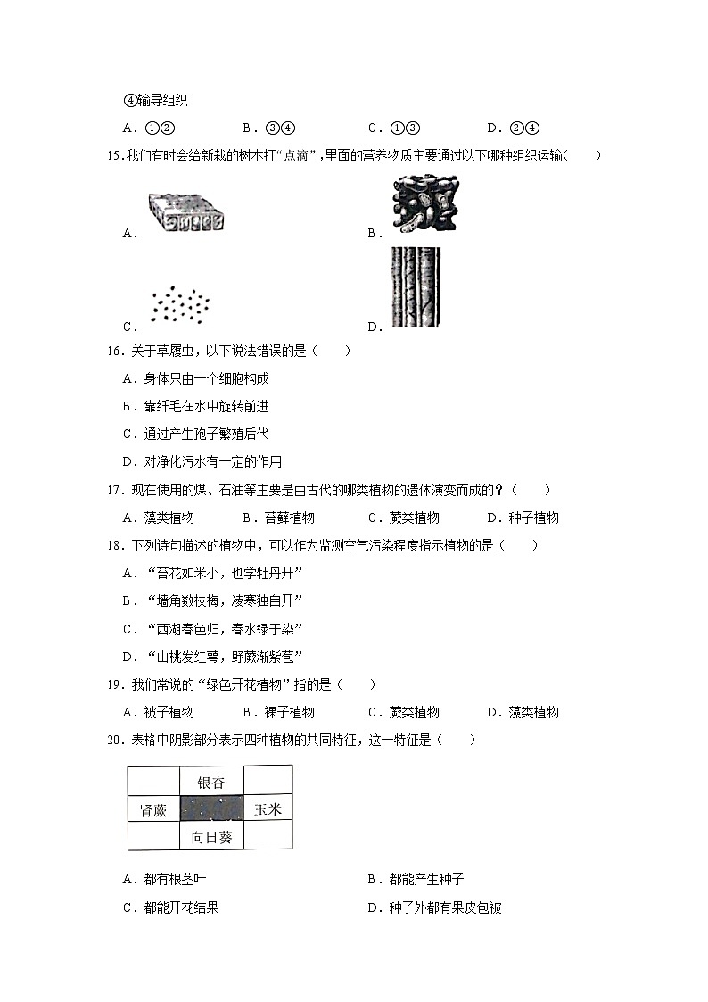 2020-2021学年广东省深圳市龙岗区七年级（上）期末生物试卷    解析版03