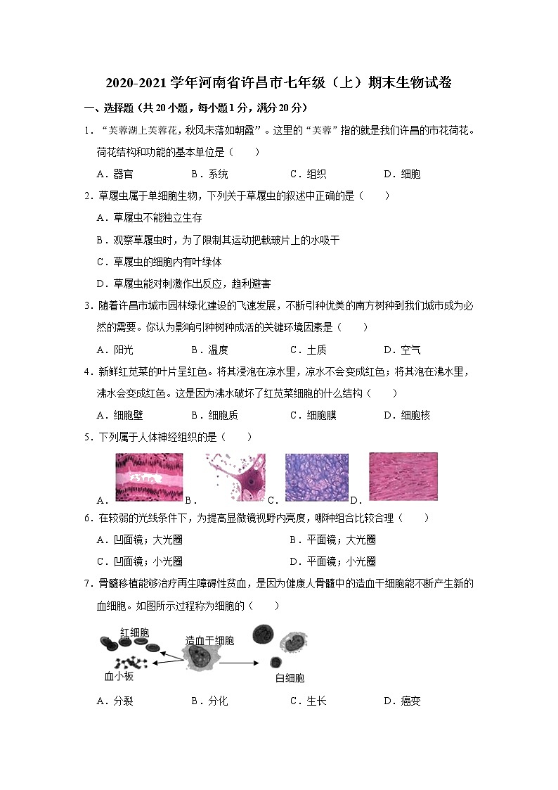 2020-2021学年河南省许昌市七年级（上）期末生物试卷     解析版01