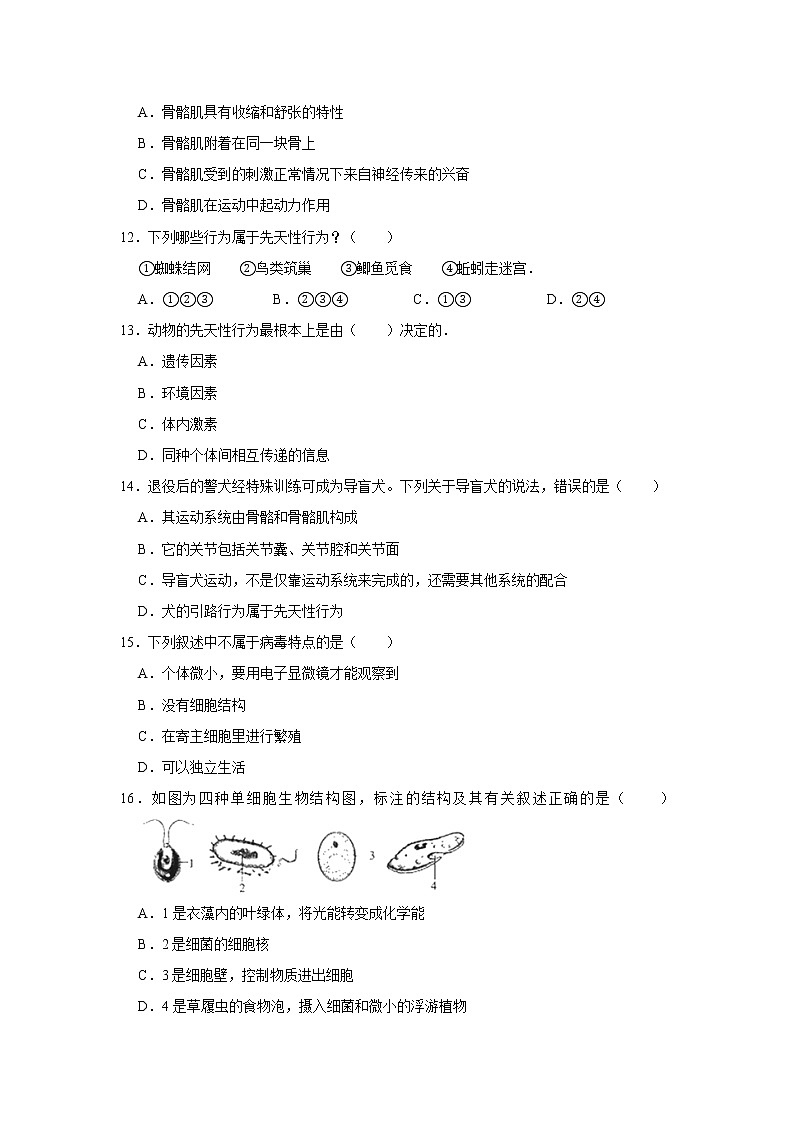 2020-2021学年山东省枣庄市台儿庄区七年级（上）期末生物试卷    解析版03