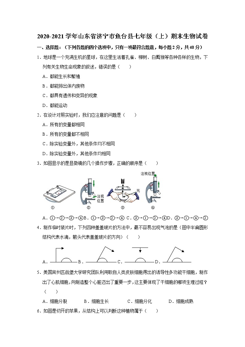 2020-2021学年山东省济宁市鱼台县七年级（上）期末生物试卷   解析版01