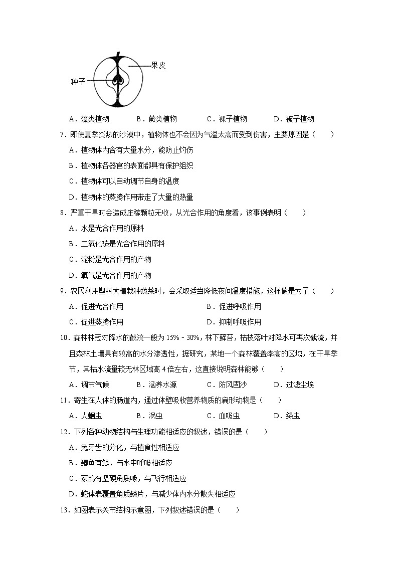 2020-2021学年山东省济宁市鱼台县七年级（上）期末生物试卷   解析版02