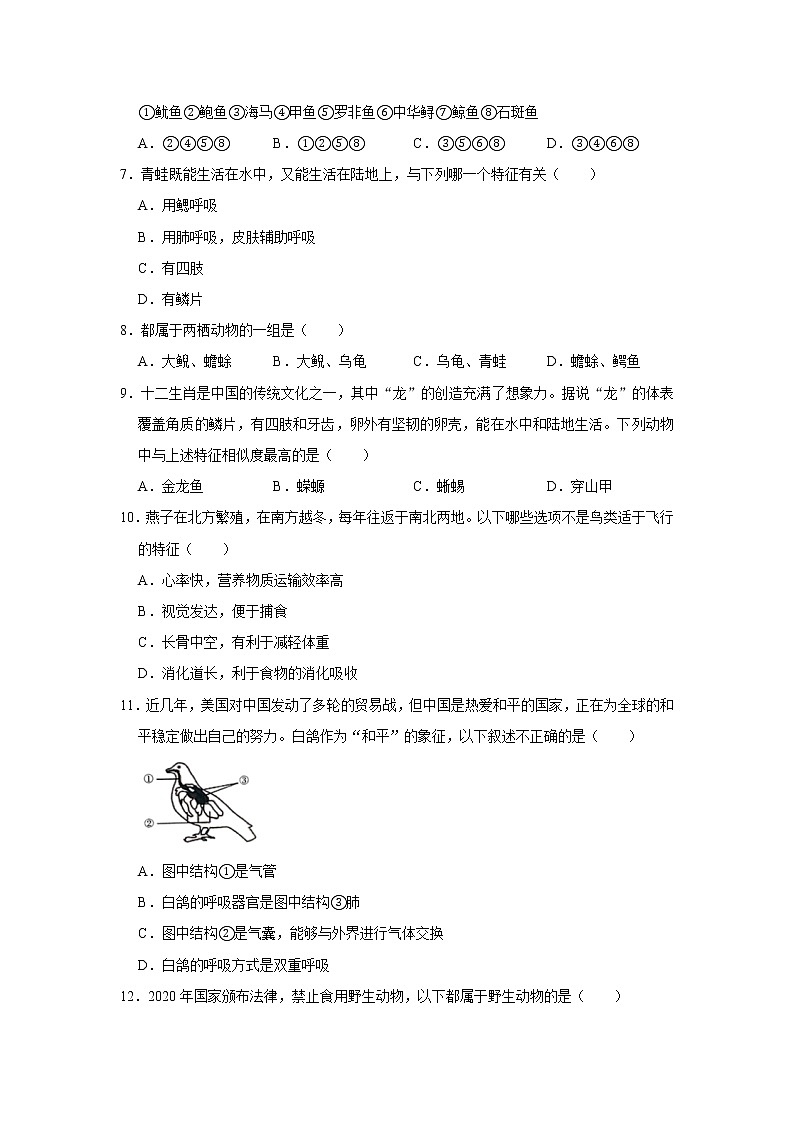 2020-2021学年广东省佛山市高明区八年级（上）期末生物试卷    解析版02