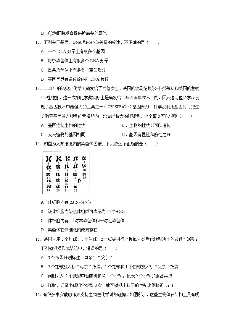 2020-2021学年山东省东营市河口区八年级（上）期末生物试卷（五四学制）    解析版03