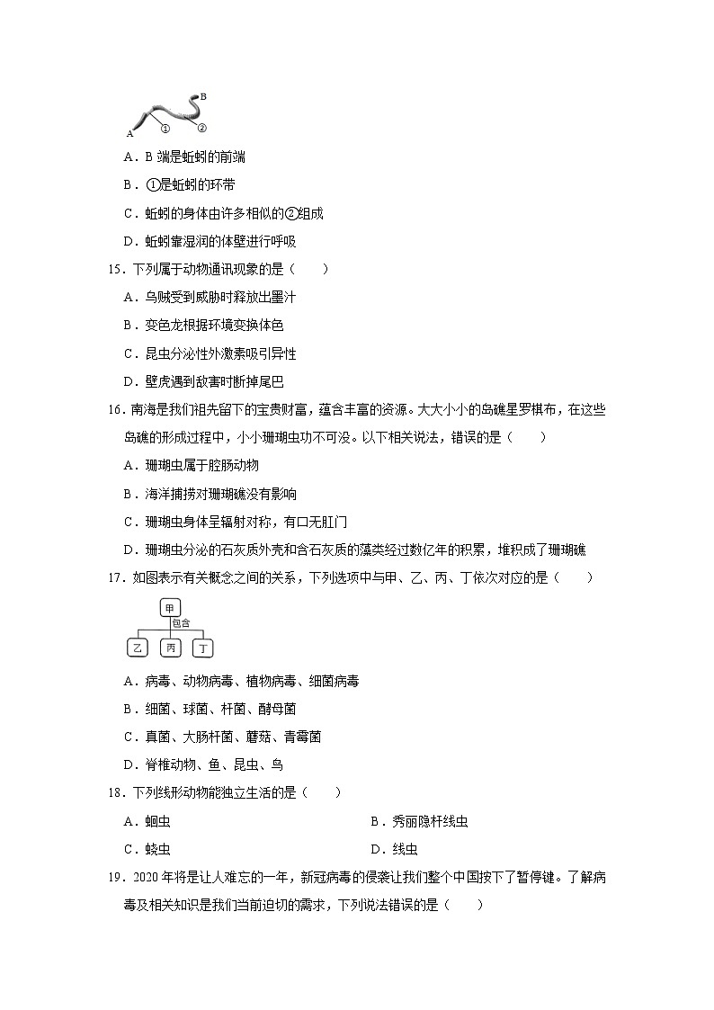 2020-2021学年广东省深圳市龙岗区八年级（上）期末生物试卷     解析版03