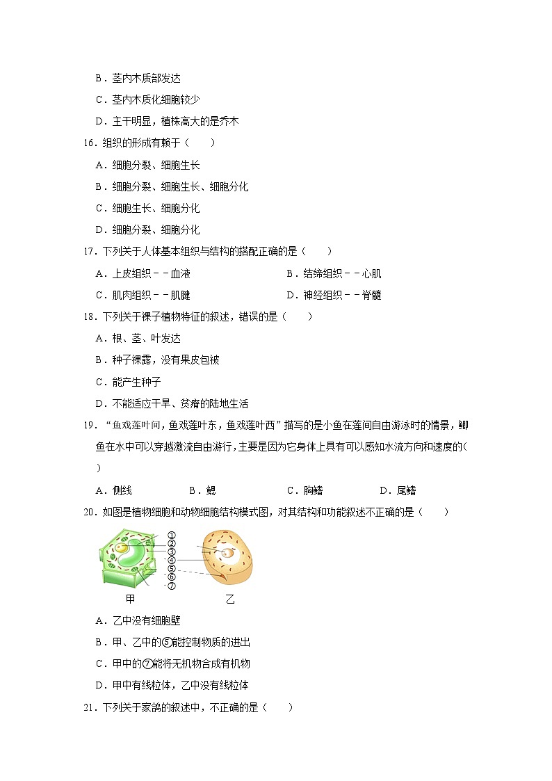 2020-2021学年河北省唐山市路北区七年级（上）期末生物试卷    解析版03