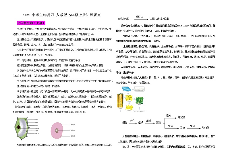 生物中考总复习提纲 学案02
