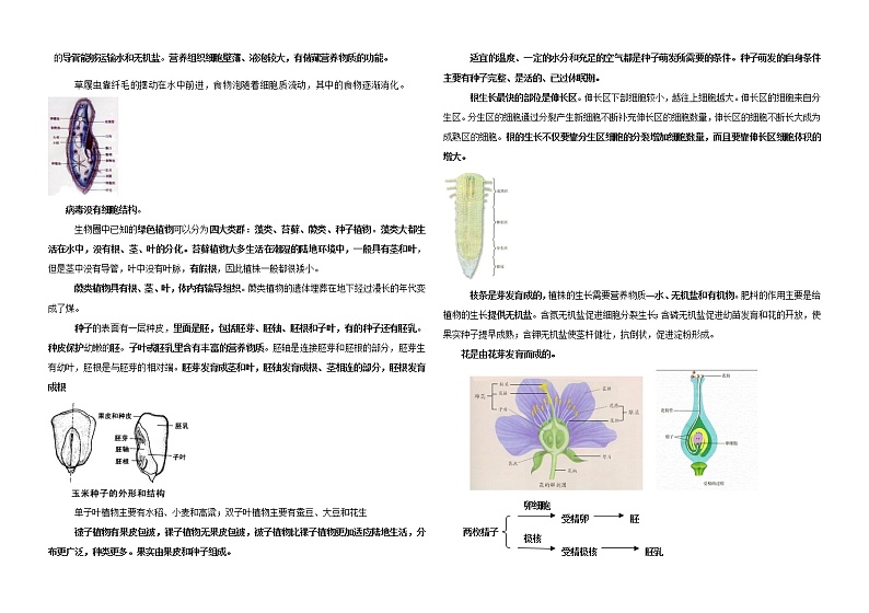 生物中考总复习提纲 学案03