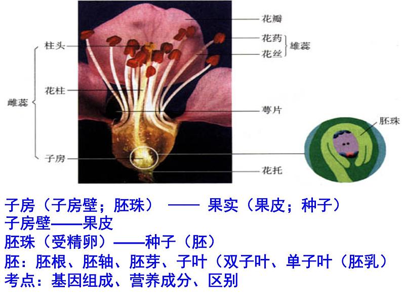 2021年中考八年级下册总复习 课件02