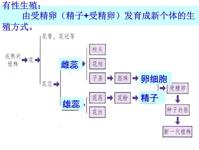 2021年中考八年级下册总复习 课件03