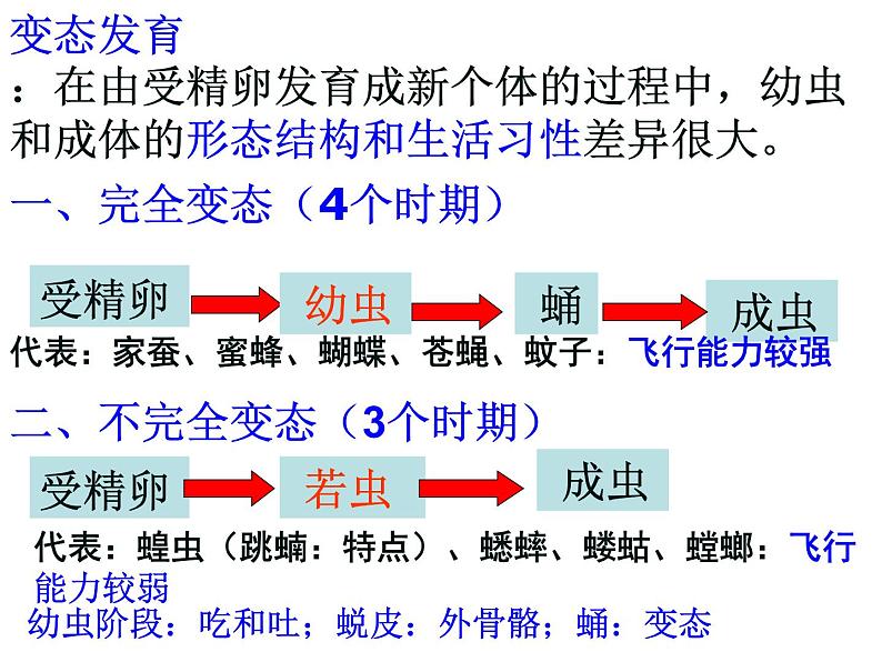 2021年中考八年级下册总复习 课件07